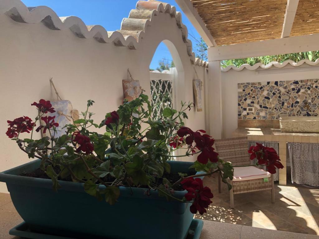 Cala Marina Holidays Villa Trappeto  Exteriör bild